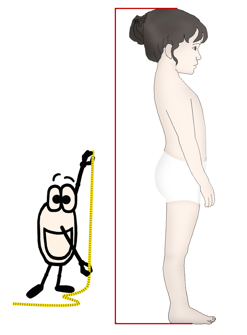Prendre-les-mesures-fille Prendre les mensurations